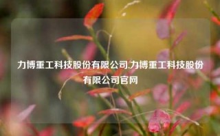 力博重工科技股份有限公司,力博重工科技股份有限公司官网