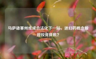 马萨诸塞州或成合法化下一站，迷幻药概念股迎投资良机？