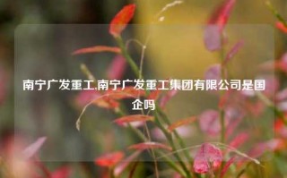 南宁广发重工,南宁广发重工集团有限公司是国企吗