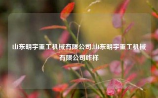 山东明宇重工机械有限公司,山东明宇重工机械有限公司咋样