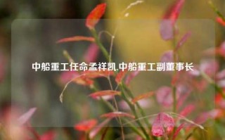 中船重工任命孟祥凯,中船重工副董事长