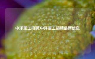 中泽重工招聘,中泽重工招聘最新信息