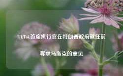 TikTok首席执行官在特朗普政府就任前寻求马斯克的意见