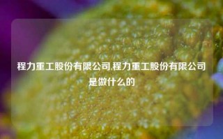 程力重工股份有限公司,程力重工股份有限公司是做什么的