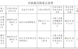 新疆闰物支付服务有限公司被罚23万元：违反支付结算业务管理规定