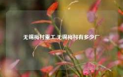 无锡梅村重工,无锡梅村有多少厂