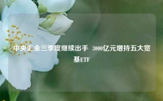 中央汇金三季度继续出手  3000亿元增持五大宽基ETF