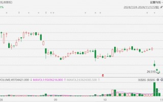 超微电脑跌近9%创年内新低，停牌或退市可能性增加