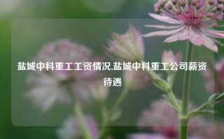 盐城中科重工工资情况,盐城中科重工公司薪资待遇