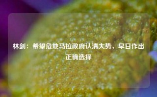 林剑：希望危地马拉政府认清大势，早日作出正确选择