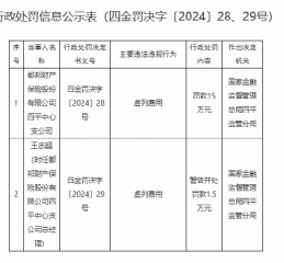 都邦财险四平中心支公司因虚列费用被罚15万元