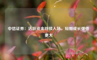 中信证券：活跃资金持续入场，短期成长弹性更大