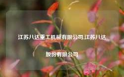 江苏八达重工机械有限公司,江苏八达股份有限公司