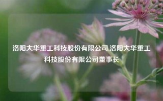 洛阳大华重工科技股份有限公司,洛阳大华重工科技股份有限公司董事长