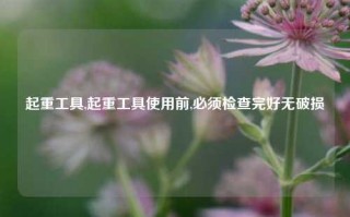 起重工具,起重工具使用前,必须检查完好无破损