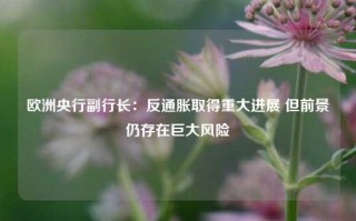 欧洲央行副行长：反通胀取得重大进展 但前景仍存在巨大风险