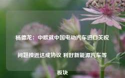 杨德龙：中欧就中国电动汽车进口关税问题接近达成协议 利好新能源汽车等板块