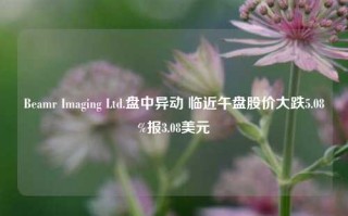 Beamr Imaging Ltd.盘中异动 临近午盘股价大跌5.08%报3.08美元