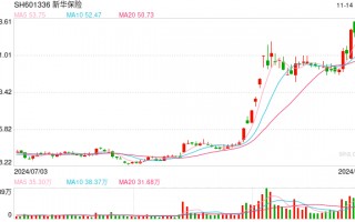 刷新近四年纪录！险资年内已举牌13家公司，新华保险同日扫货两只医药股
