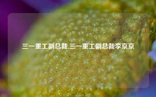 三一重工副总裁,三一重工副总裁李京京