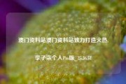 澳门资料站澳门资料站致力打造火热,李子柒个人Pro版_25.36.51