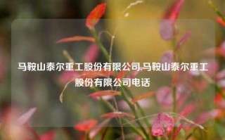 马鞍山泰尔重工股份有限公司,马鞍山泰尔重工股份有限公司电话