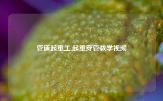 管道起重工,起重穿管教学视频