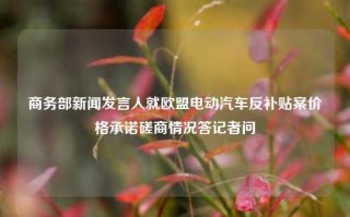 商务部新闻发言人就欧盟电动汽车反补贴案价格承诺磋商情况答记者问