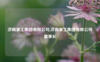 济南重工集团有限公司,济南重工集团有限公司董事长