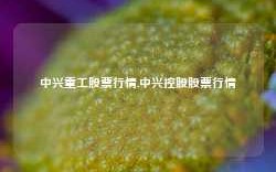 中兴重工股票行情,中兴控股股票行情