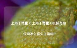 上海丁博重工,上海丁博重工机械有限公司怎么样欠工资吗