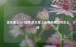 洛北重工2017招聘,洛北重工机械有限公司怎么样