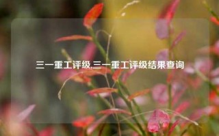 三一重工评级,三一重工评级结果查询