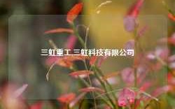 三虹重工,三虹科技有限公司