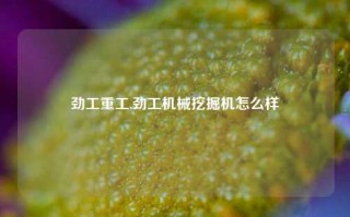 劲工重工,劲工机械挖掘机怎么样