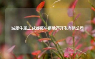 城犀牛重工,成都犀牛房地产开发有限公司