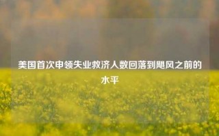 美国首次申领失业救济人数回落到飓风之前的水平