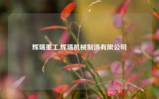 辉瑞重工,辉瑞机械制造有限公司