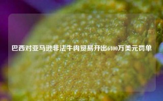 巴西对亚马逊非法牛肉贸易开出6400万美元罚单