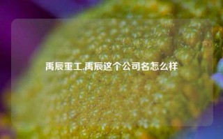 禹辰重工,禹辰这个公司名怎么样