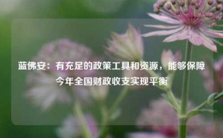 蓝佛安：有充足的政策工具和资源，能够保障今年全国财政收支实现平衡