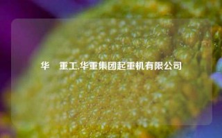 华岮重工,华重集团起重机有限公司