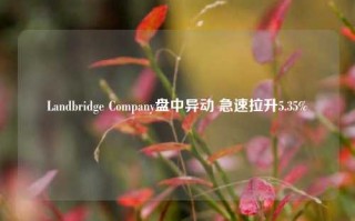 Landbridge Company盘中异动 急速拉升5.35%