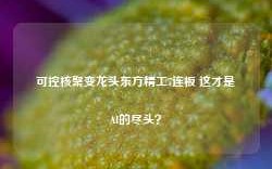 可控核聚变龙头东方精工7连板 这才是AI的尽头？