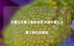 天重江天重工最新消息,天津天重江天重工搬迁到哪里