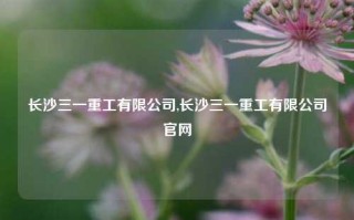 长沙三一重工有限公司,长沙三一重工有限公司官网