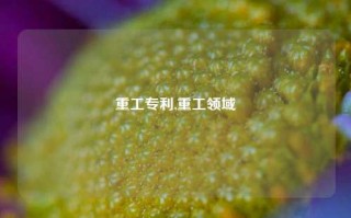 重工专利,重工领域