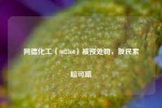 同德化工（002360）被预处罚，股民索赔可期