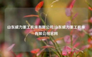 山东威力重工机床有限公司,山东威力重工机床有限公司官网