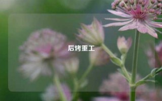 后烤重工